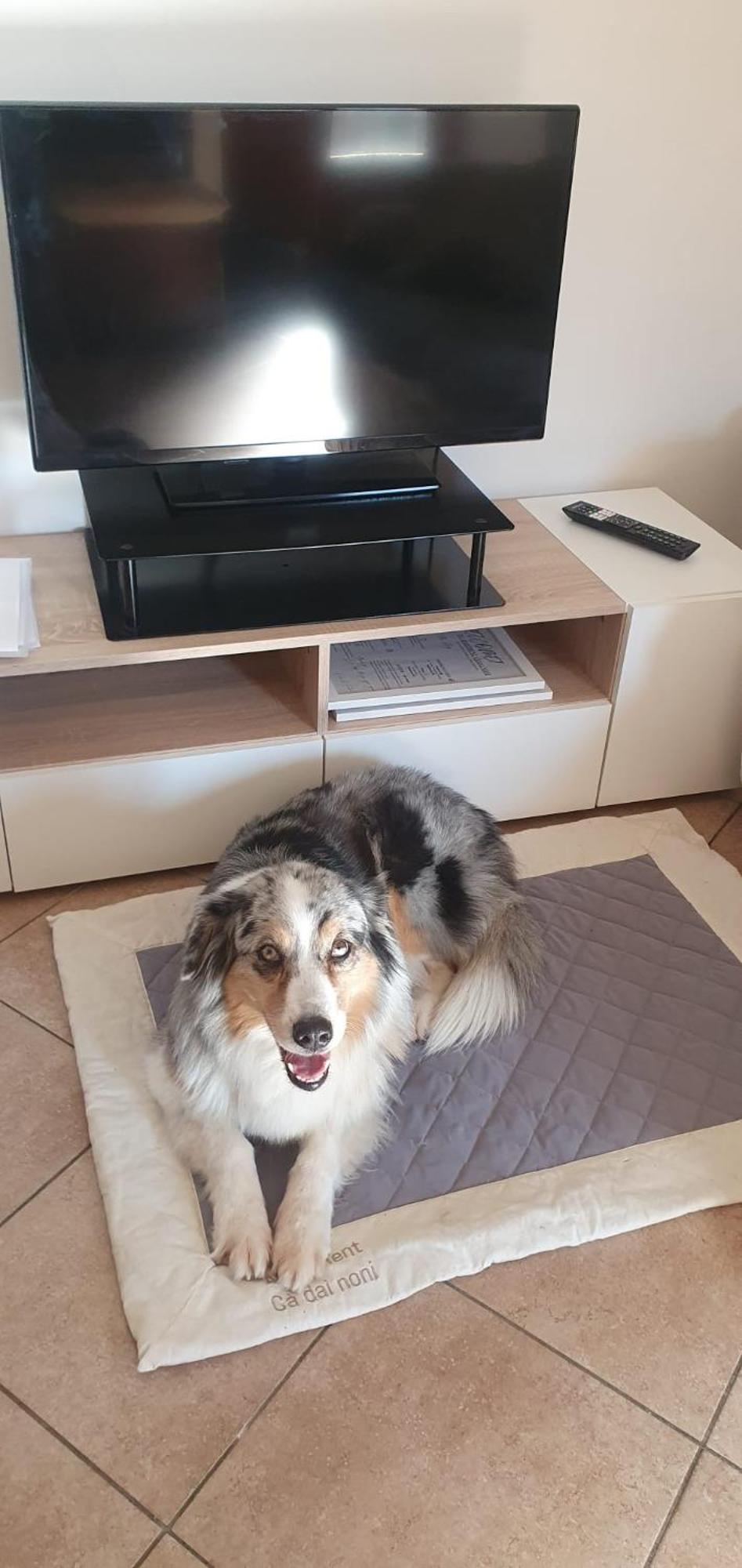 Apartment Ca Dai Noni Feriolo Екстер'єр фото